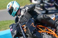 Middle Group Black Bikes